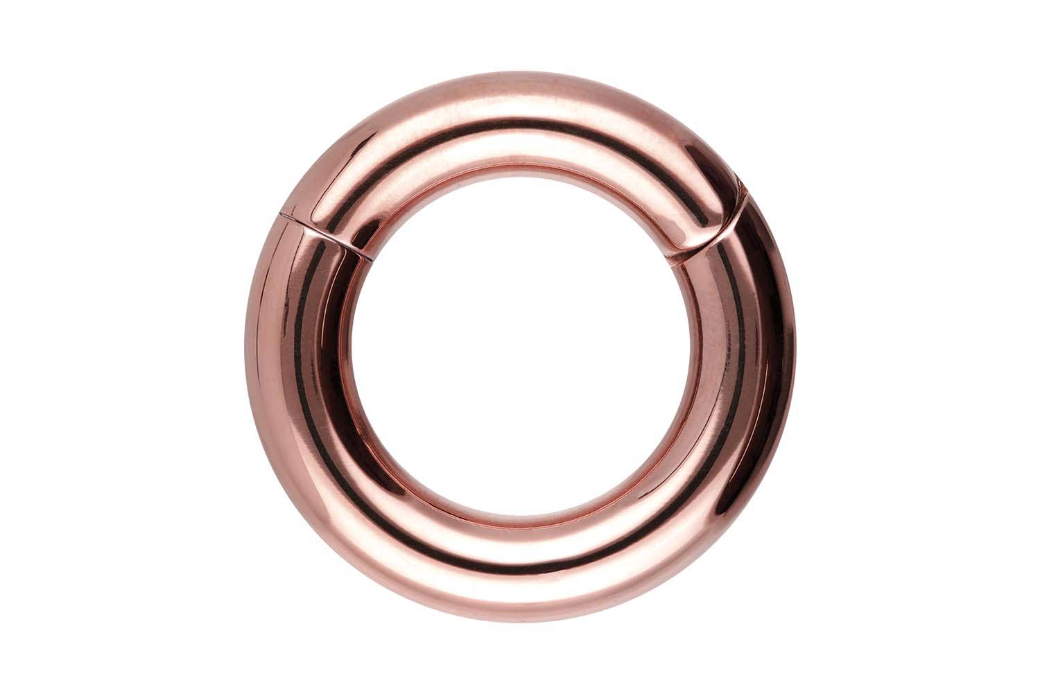 Chirurgenstahl Segmentring Clicker Piercing